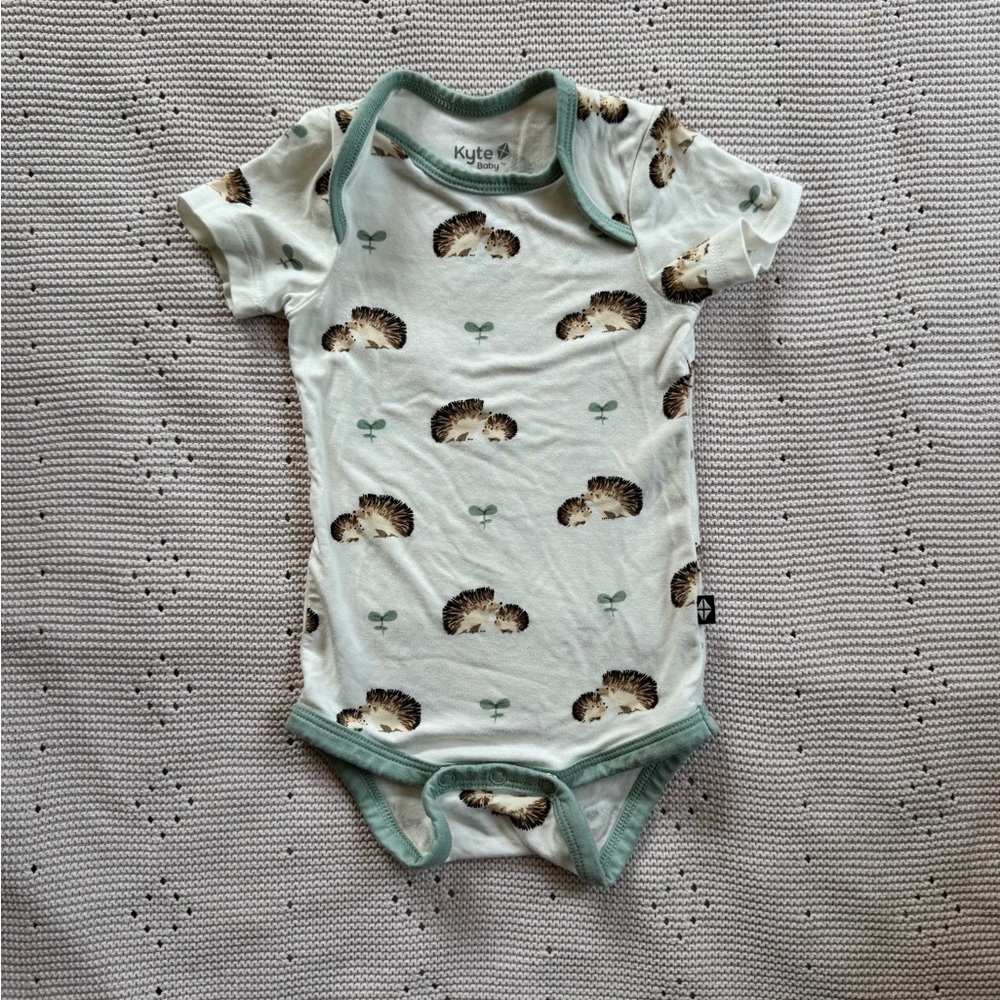 Kyte Baby Hedgehog Onesie